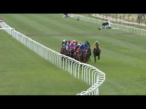 2021.07.04. 11. futam - 99. MAGYAR DERBY (HUN Gd-1) (NGL-IV.)