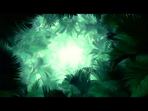 "Salsa for three" drumcover