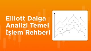 Elliott Dalga Analizi Temel İşlem Rehberi | AMarkets