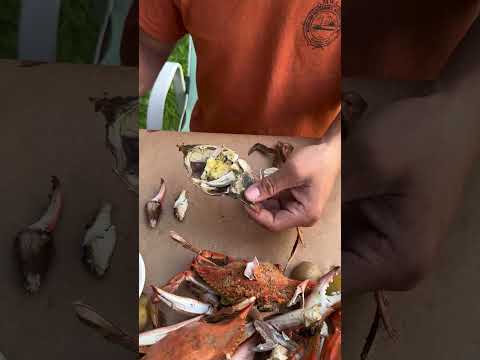 How To Pick a Crab, MARYLAND STYLE! 🦀