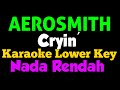 Aerosmith - Cryin' Karaoke Lower Key