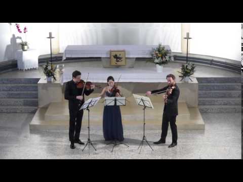 Dvorak Terzetto finale, Jean-Baptiste Poyard, Stephanie Park, Clément Boudrant