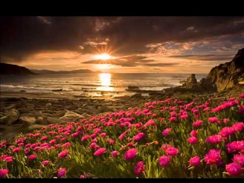 Aleksandar Medošević - Stara staza