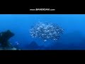 Finding Nemo Collector S Edition DVD Release Ad
