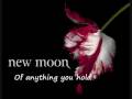 my New Moon Soundtrack #5-Say (All I Need)-One ...