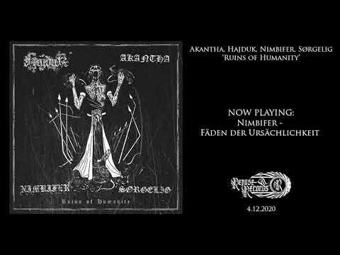 Nimbifer - Fäden der Ursächlichkeit