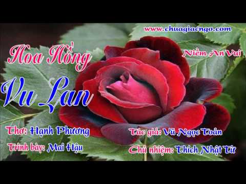 08. Hoa hồng mùa Vu Lan