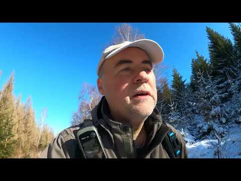 Wanderung von Ilsenburg zur Taubenklippe - 20km