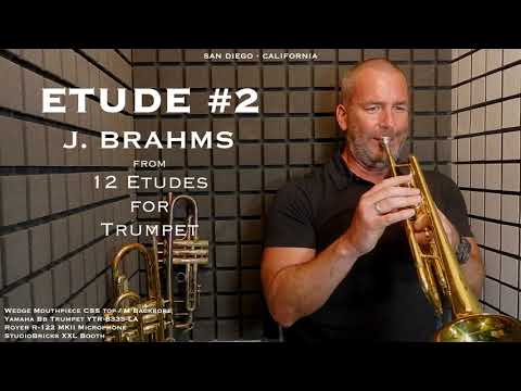 BRAHMS Etude #2