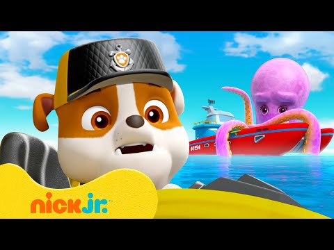 Capa de Patrulha Canina | Rubble da Patrulha Canina Faz Resgates Audaciosos! c/ Skye & Marshall | Nick Jr.