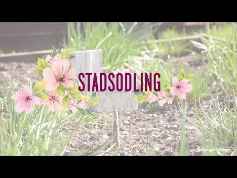 Stadsodling