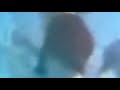 Sesame Street Underwater N