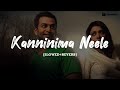 Kanninima Neele Slowed Reverb Lofi Flip Anwar Jahan Mubarak