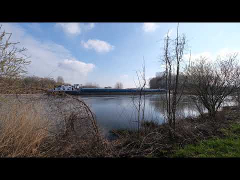 Bergemeersen Wichelen