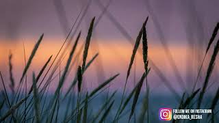 Download lagu Story Wa Boomerang - Pelangi Lirik mp3