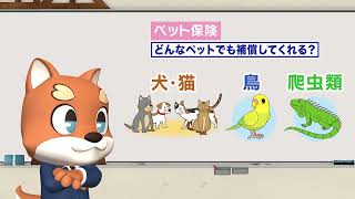 〈損害保険教育〉「明るい未来へTRY！～リスクと備え～」ペットを飼いたい！編 2024年度改訂版