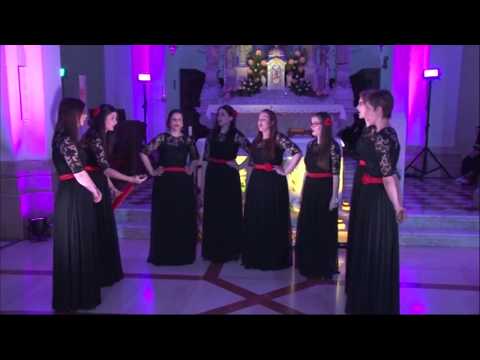 Zdrava Kraljice - klapa Zvizdan ( Imotski, 2015.)