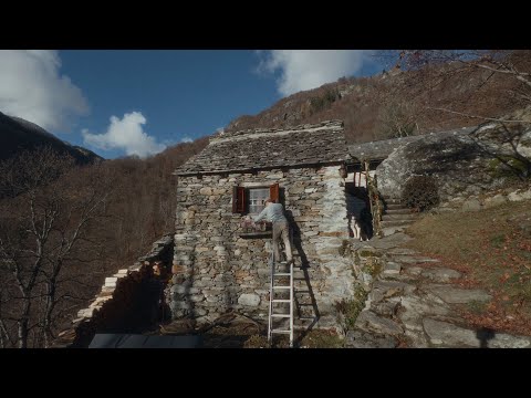 Christmas Prep, Cozy Fires, and Chickens | Ep.26