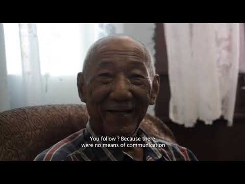 A SMALL PIECE OF WOOD (VOSTENG)