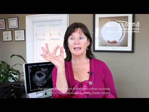 7 Weeks Pregnant - Your 7th Week Of Pregnancy