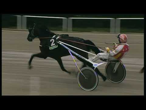 Trotto 24/10/2020 - 1ª corsa