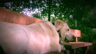 Love Is Beautiful!!!