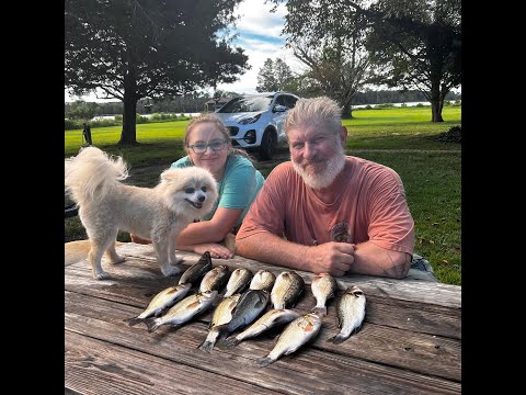 Don and Diane Shipley LIVE - August 7th at 1800 EST Thumbnail