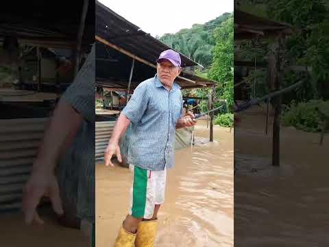 grandes inundaciones en la verdad la plata municipio de pore  casanare