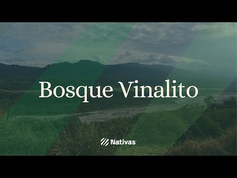 Nativas - Proyecto Bosque Vinalito