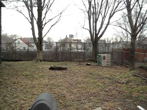 Sunday morning...Howard St...Lynn, MA...The bells of St. Joe's Church...3/04/2012.