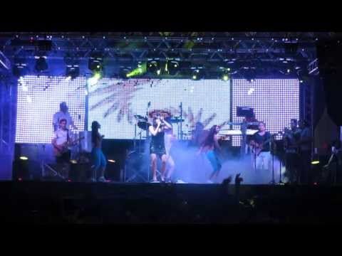 BANDA ALTO PADRÃO - CARNAVAL 2014 - LEVADA LOUCA