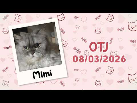 Feline Diabetes Message Board