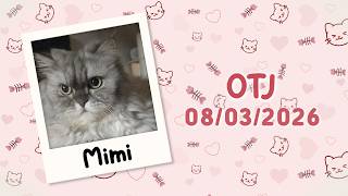 Mimi is OTJ! ♡ 08/03/2026