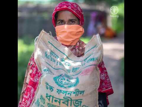 Normes de commerce et de sécurité alimentaire
