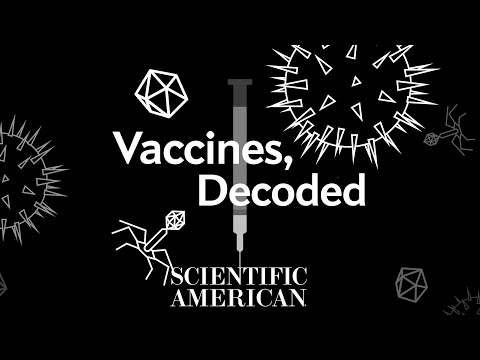 Decoded: How do vaccines actually work?