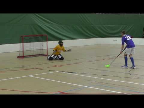 21.5.2017 Kohonen Cup Nibacos 04 maalikooste