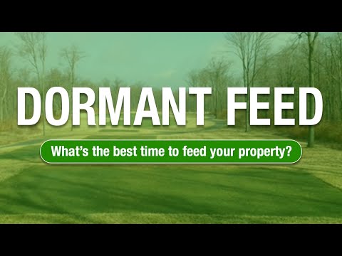 2 Minute Turf Talk - Dormant Feed