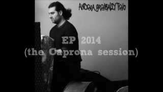 Andrea Garibaldi Trio - Promo EP 2014