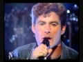David Hasselhoff If I Could Only Say Goodbye