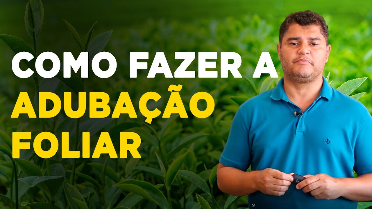 PORQUÊ, QUANDO E COMO UTILIZAR A ADUBAÇÃO FOLIAR