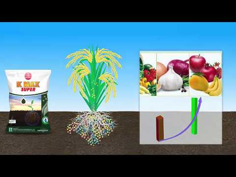 Krishaj K Max Super Plant Grow Promoter