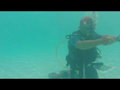 OWD Course Skill  - Regulator recovery and clear