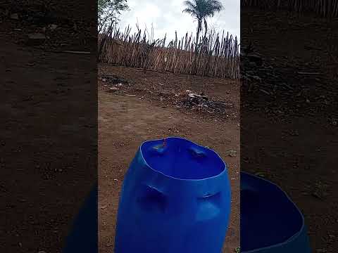 chuva aqui no meu nordeste na cidade de pedra Branca amém