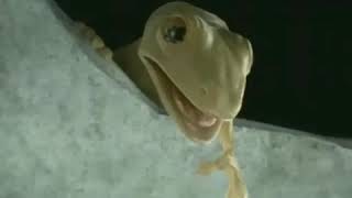 Download lagu Story WA sedih #cicak 1 hati😢😢 mp3 Download lagu Story WA sedih #cicak 1 hati😢😢 mp3