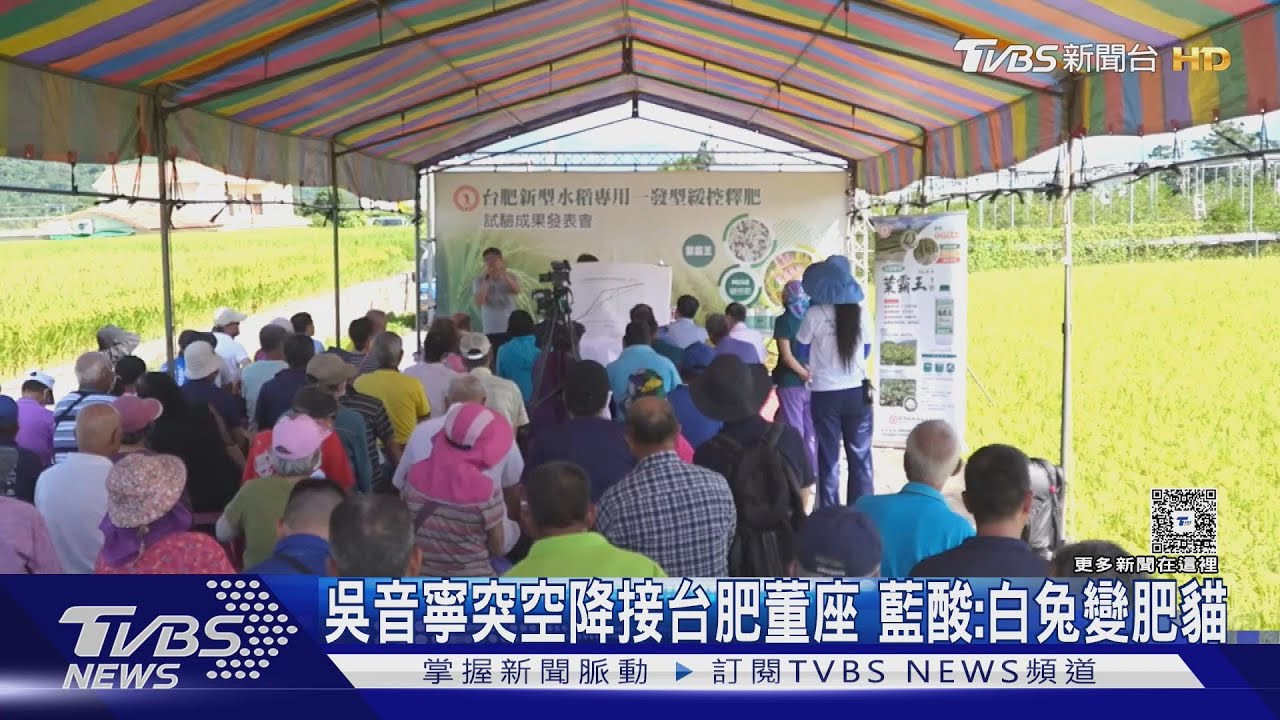 吳音寧突空降接台肥董座　藍酸：白兔變肥貓　本人回應：要等董事會決議