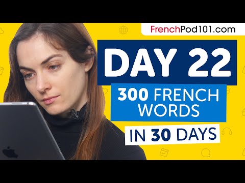 Day 22: 220/300 | Learn 300 French Words in 30 Days Challenge