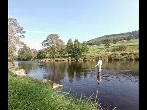 Grayling Fishing On The River Wharfe