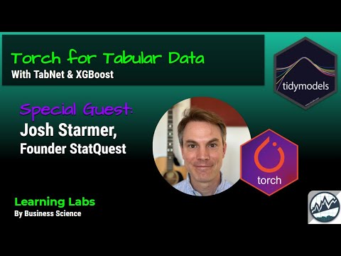 Deep Learning with Tidymodels, Torch, & Tabnet | Special Guest: Josh Starmer BAM!