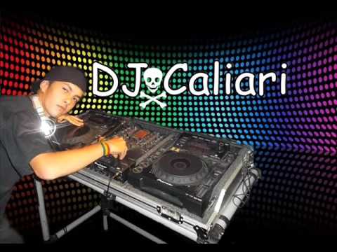 reggae psy ganganam style 2013 DJ CALIARI