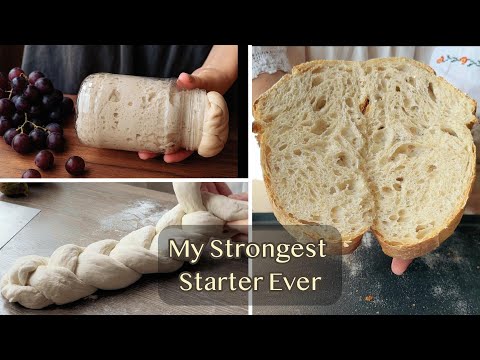 My Strongest Starter Ever – Made from Grape Must! Naturally, Ideal for All Breads and Sweets